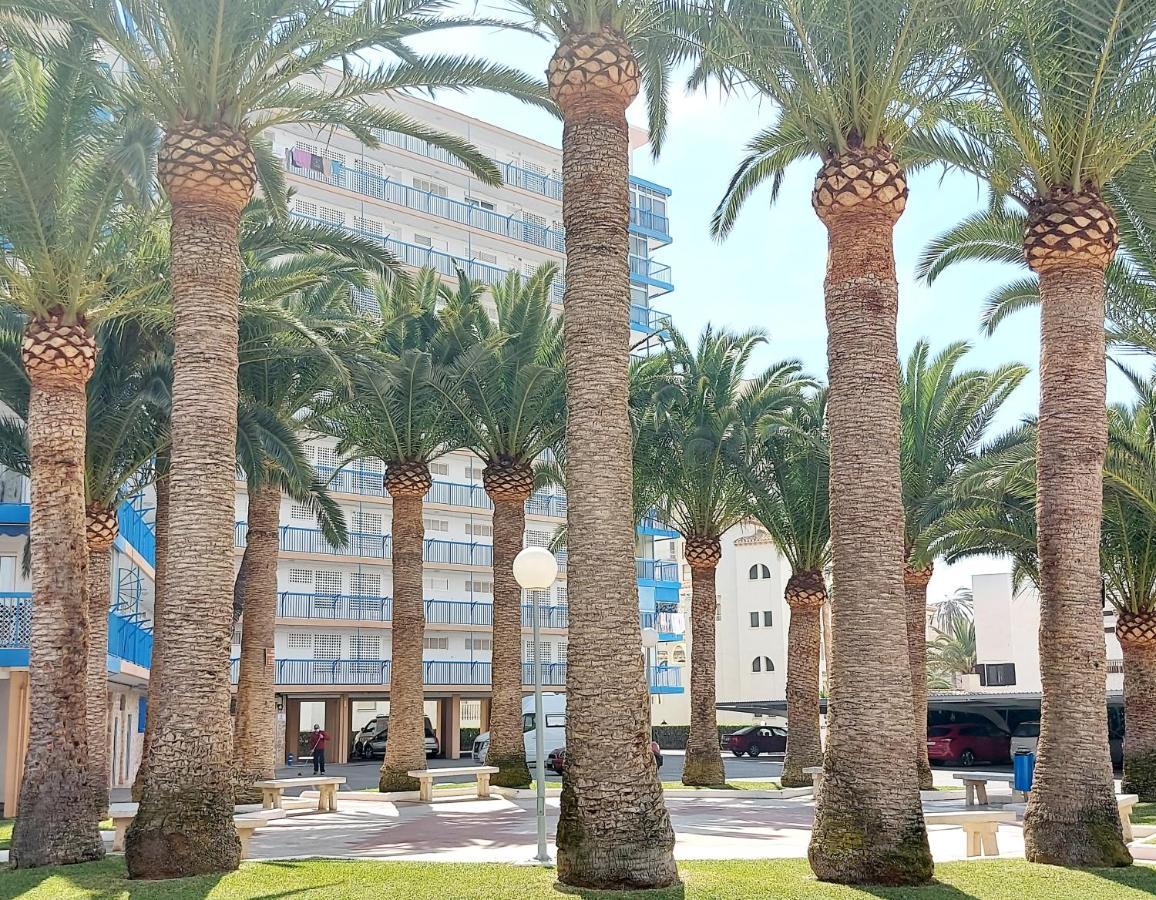 Exclusif Appartement En 1Er Ligne, Vue Imprenable, Piscine, Parking Prive A Playa Mucha Vista, Alicante El Campello Dış mekan fotoğraf