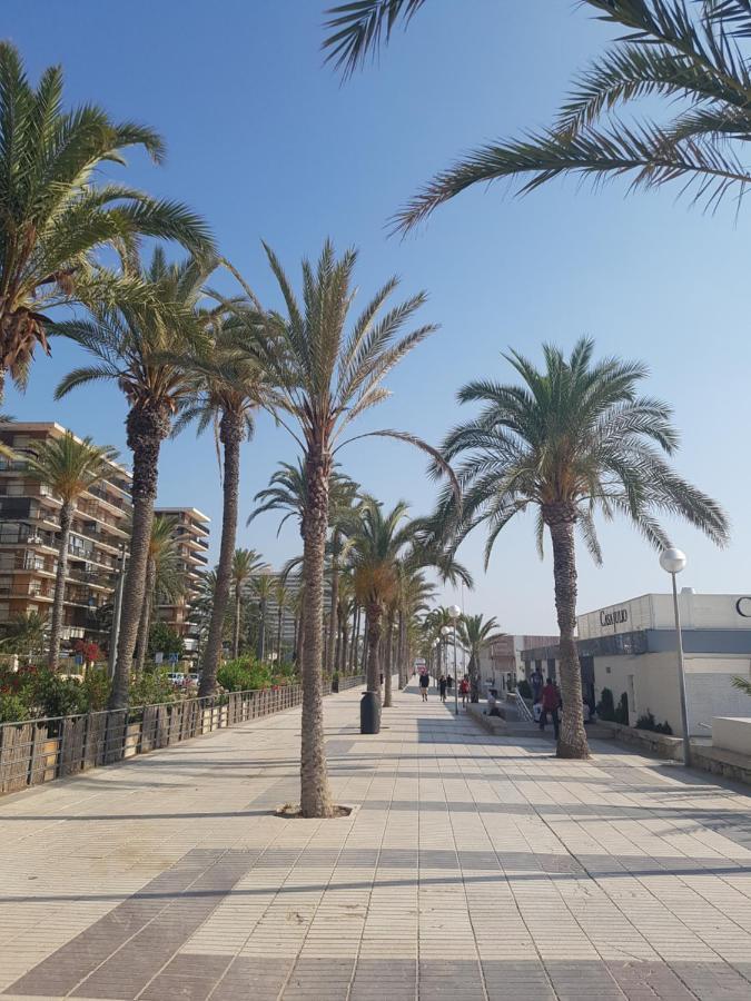 Exclusif Appartement En 1Er Ligne, Vue Imprenable, Piscine, Parking Prive A Playa Mucha Vista, Alicante El Campello Dış mekan fotoğraf